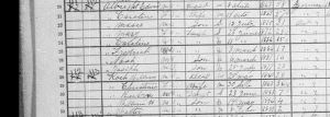 1901 Census Sullivan Township