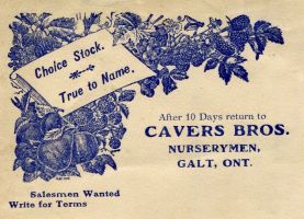 Galt-CaversBrothers-0001b-1910-Ebay2020.jpg