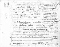Charlotte Scharstein Death certificate Chicago